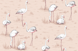 Обои Flamingos
