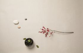 Обои «Art of Colors Celia»