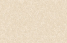 Обои «Art of Colors Celia»