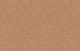 Обои «Art of Colors Celia»