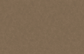 Обои «Art of Colors Celia»