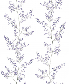 Обои «FreshUp»