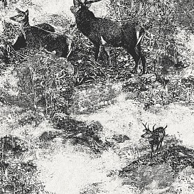 Обои «Sauvage II»