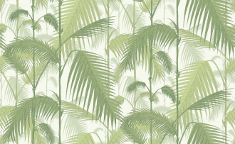 Обои Palm Jungle