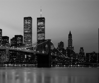 Фотообои NY skyline 315*265