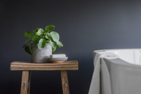 Интерьерная изностойкая краска Silverbloom 0,9 л