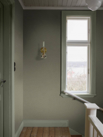 Обои «Anno II»