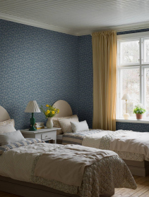 Обои «Anno II»