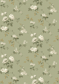 Обои «Anno II»