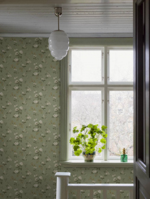 Обои «Anno II»