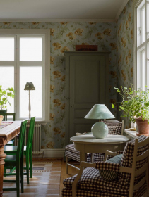 Обои «Anno II»